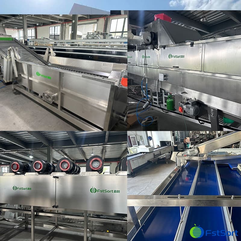 images/1716541835660citrus processing line.jpg